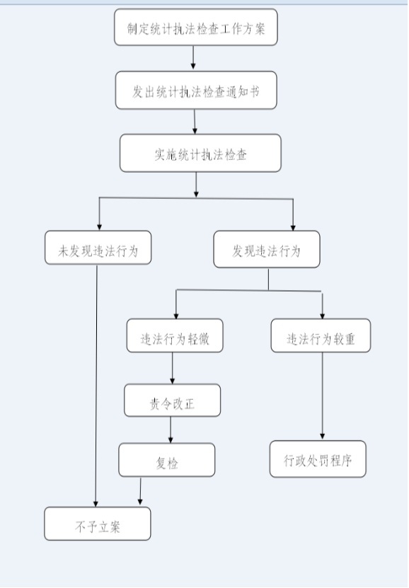 统计行政检查流程图.jpg