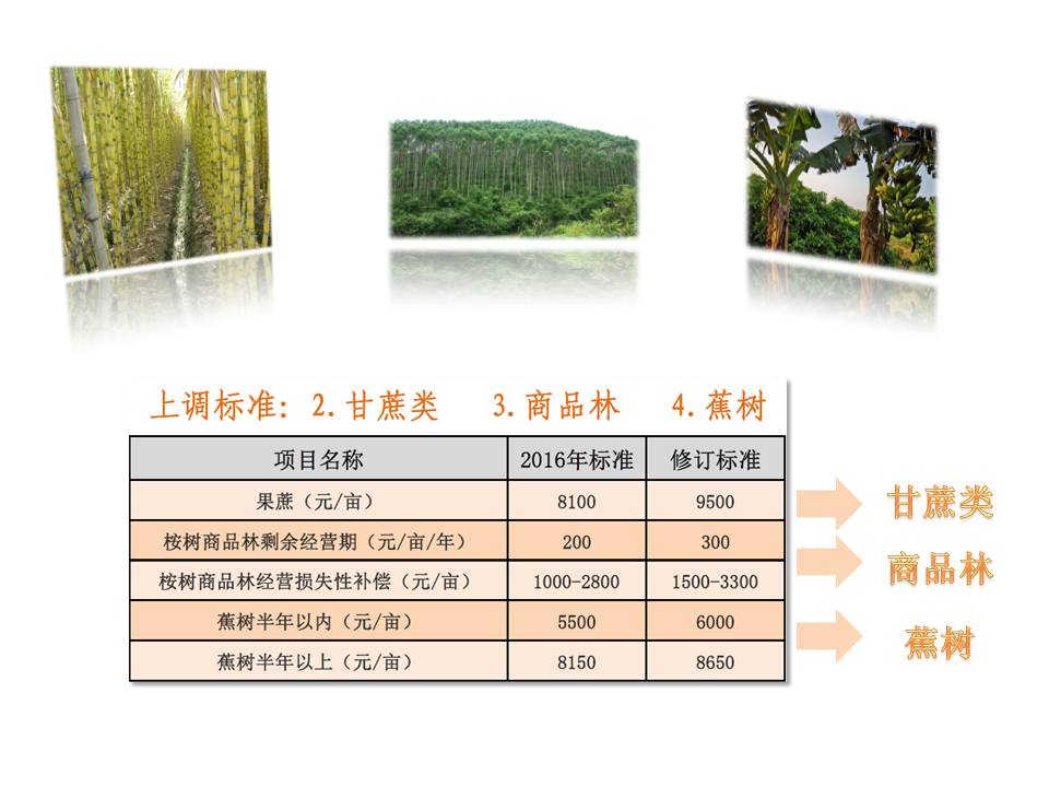 幻灯片3.JPG
