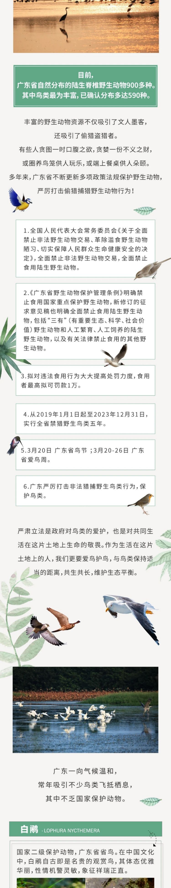 爱鸟周2.jpg