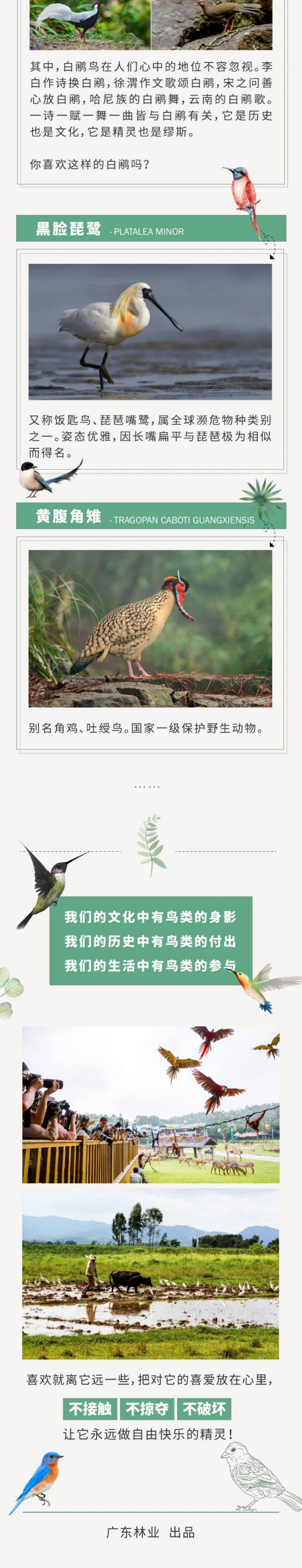 爱鸟周3.jpg