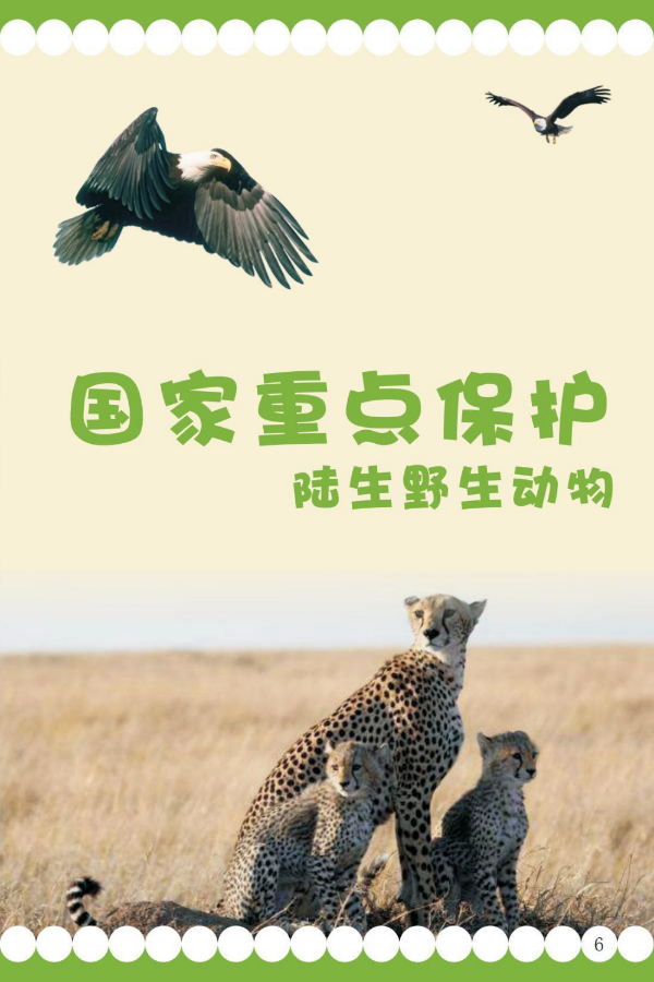 国家重点1.jpeg