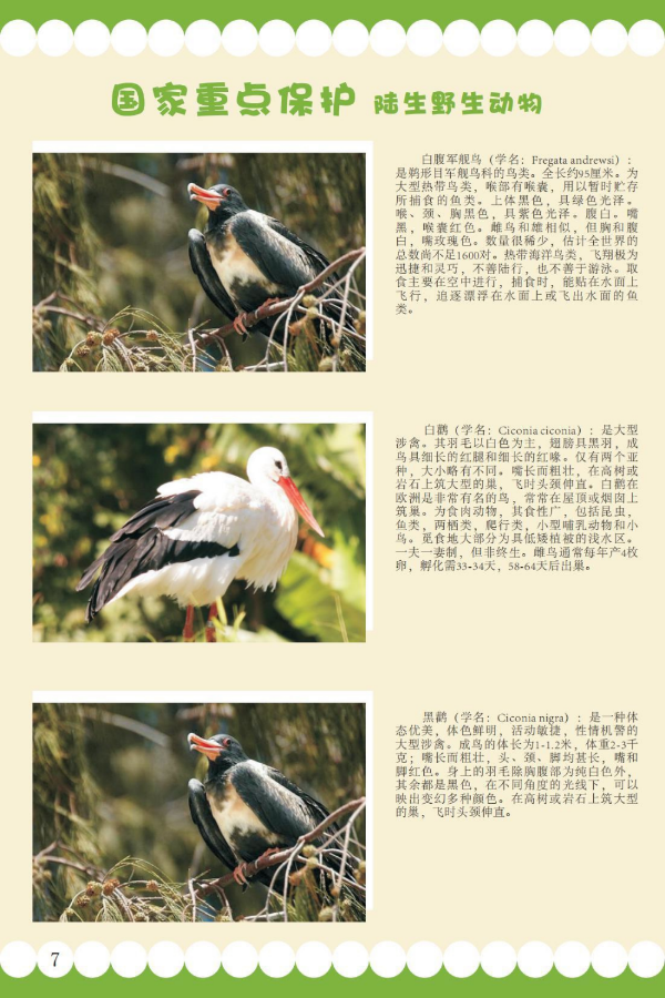 国家重点2_看图王.jpeg