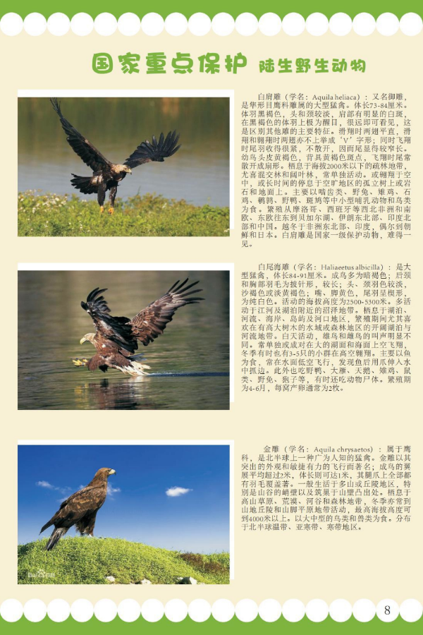 国家重点3.jpeg