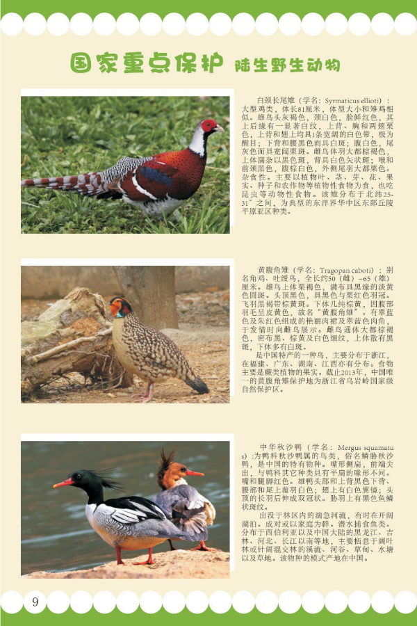国家重点4.jpeg