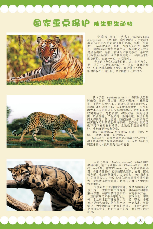 国家重点5.jpeg