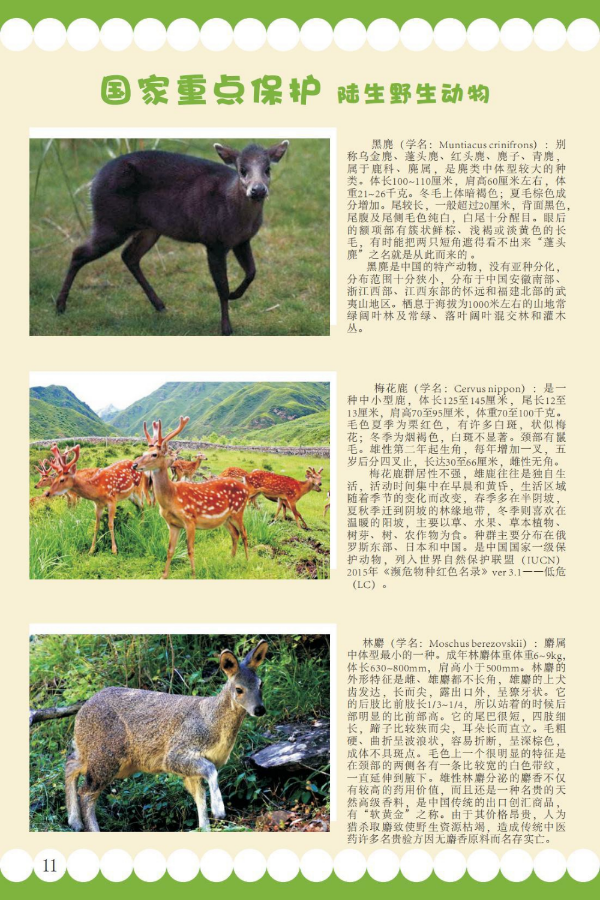 国家重点6.jpeg