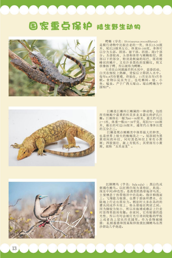 国家重点8.jpeg