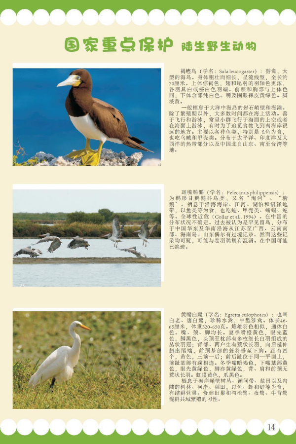 国家重点9.jpeg