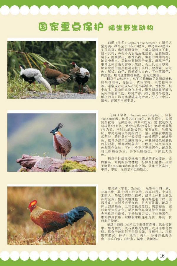 国家重点9-2.jpg