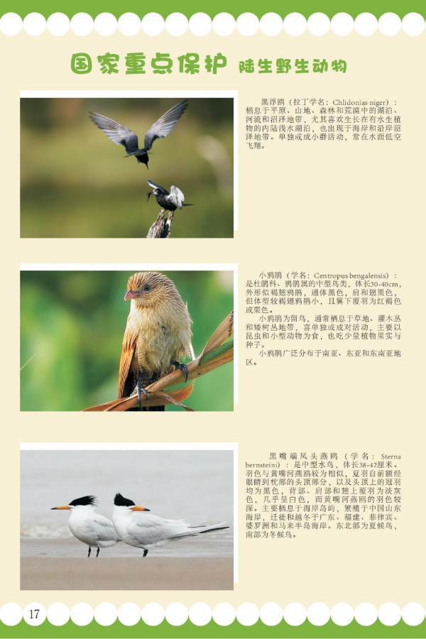 国家重点10.jpeg