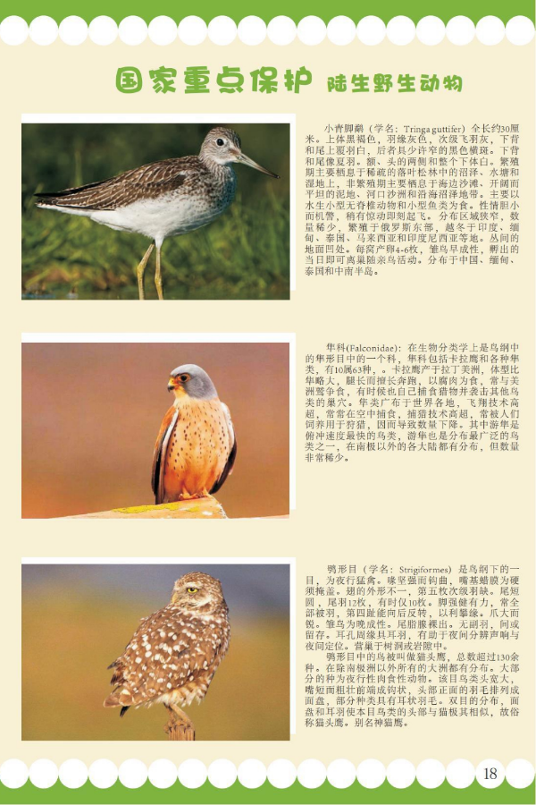 国家重点11.jpeg