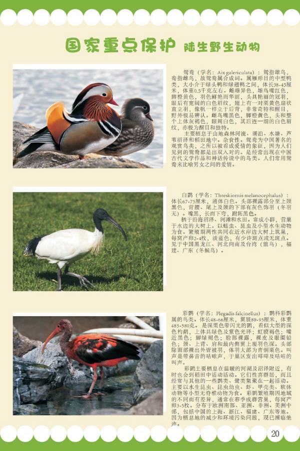 国家重点13.jpeg