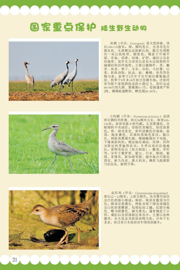 国家重点14.jpeg