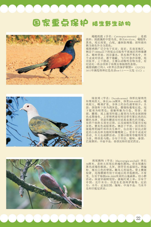 国家重点15.jpeg