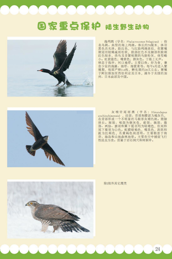 国家重点17.jpeg