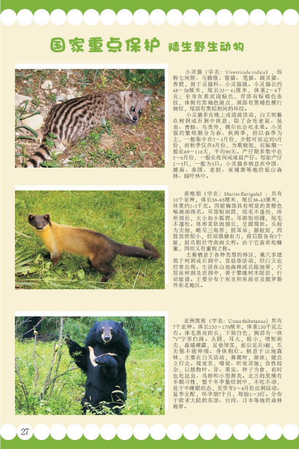 国家重点20.jpeg