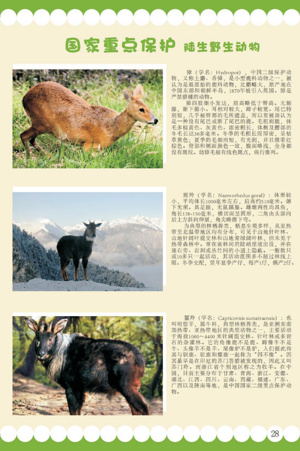 国家重点21.jpeg