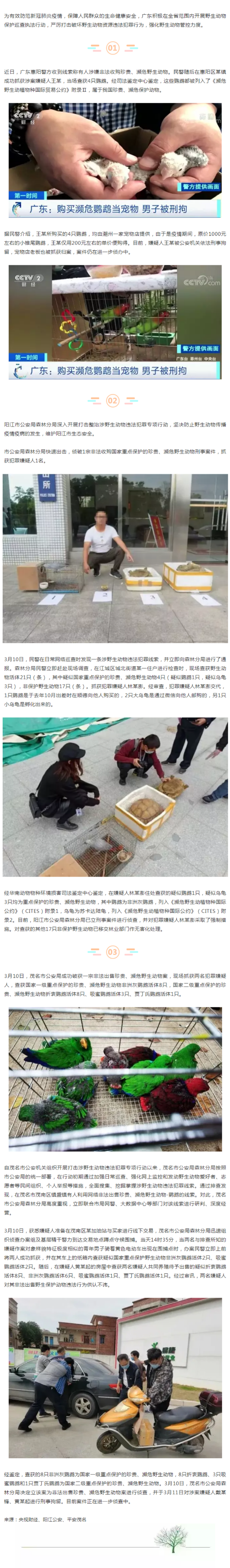 以案说法 购买濒危鹦鹉当宠物被刑拘！.png