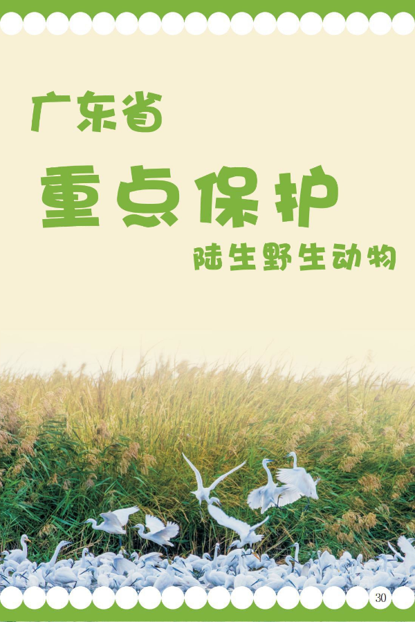 省重点1.jpeg