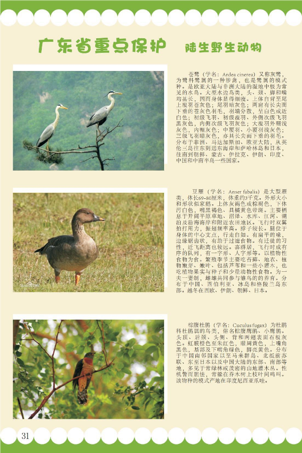 省重点2.jpeg