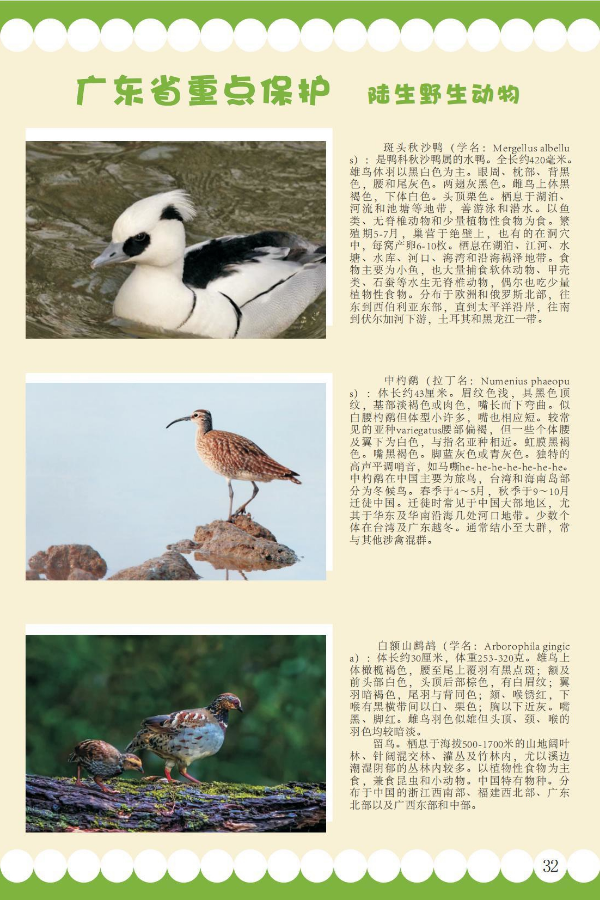 省重点3.jpeg