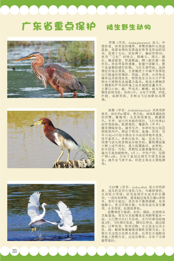 省重点4.jpeg