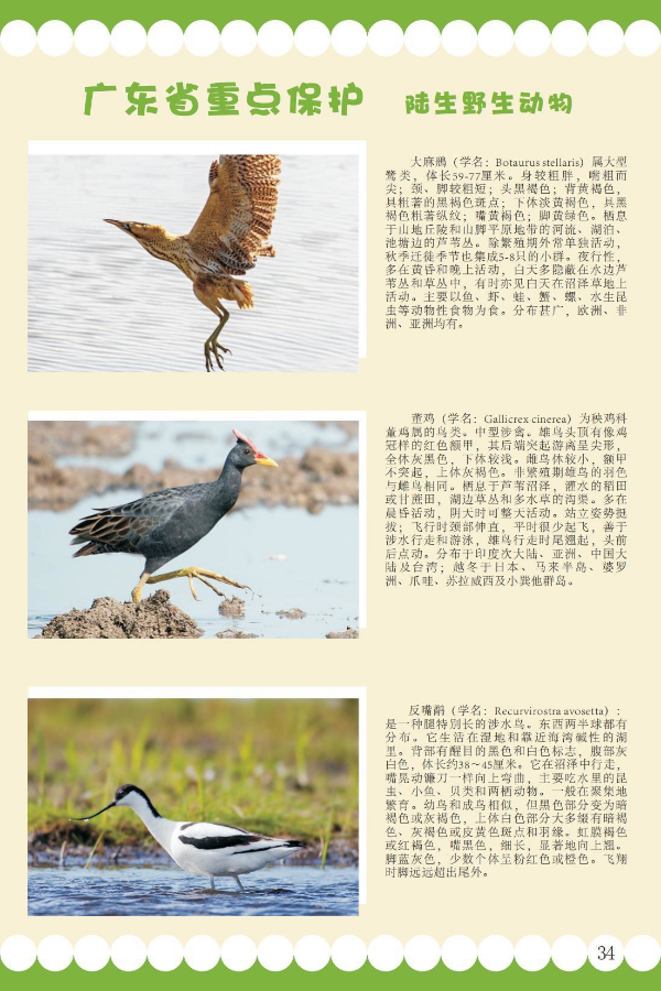 省重点5.jpeg