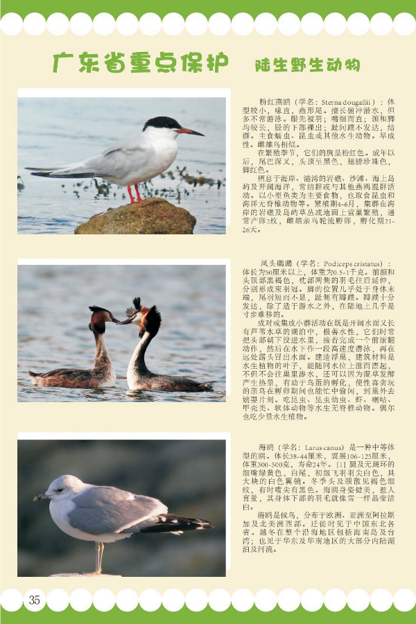省重点6.jpeg