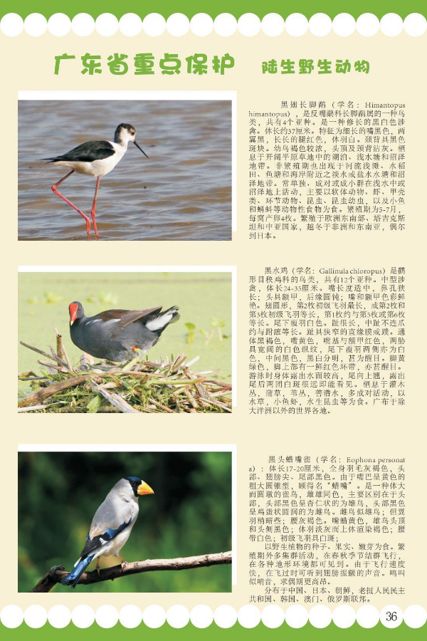 省重点7.jpeg