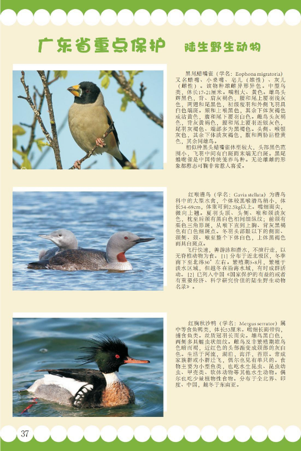 省重点8.jpeg