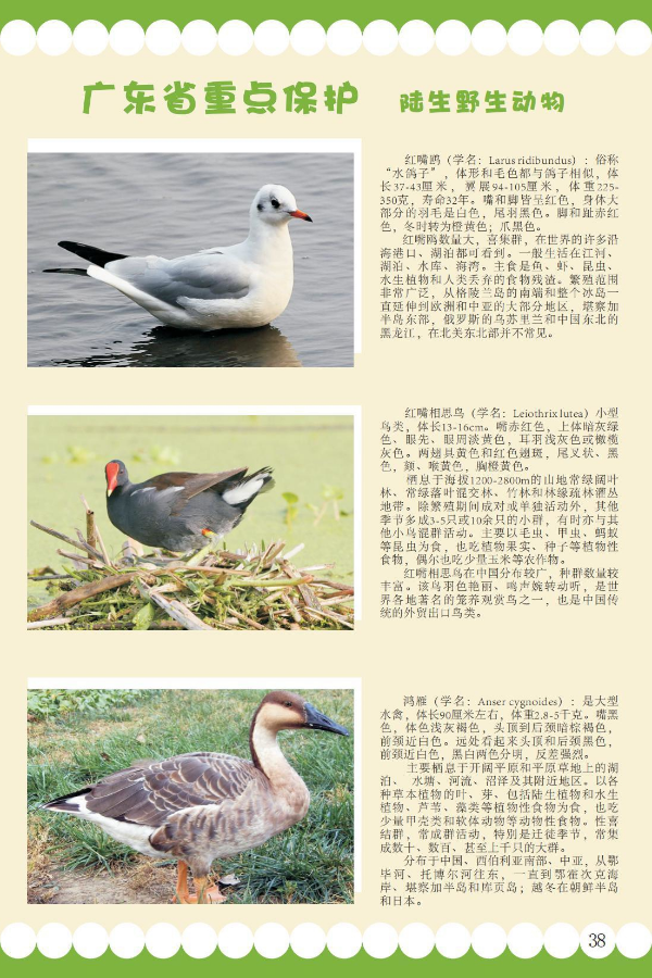 省重点9.jpeg