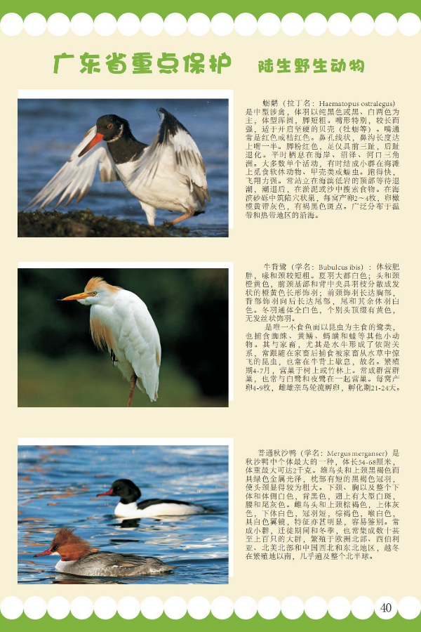 省重点11.jpeg
