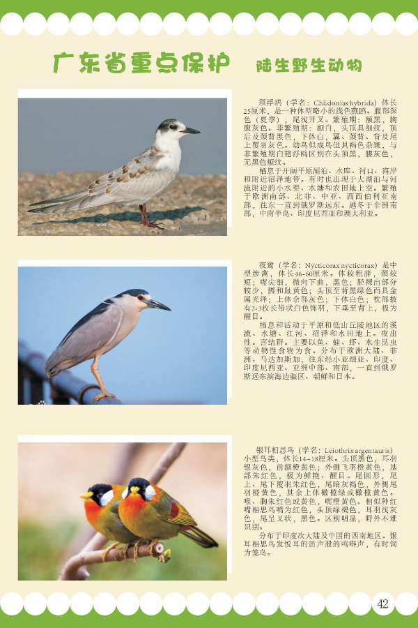 省重点13.jpeg