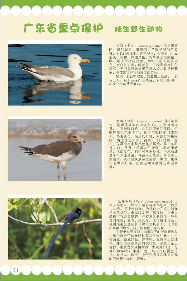 省重点14.jpeg
