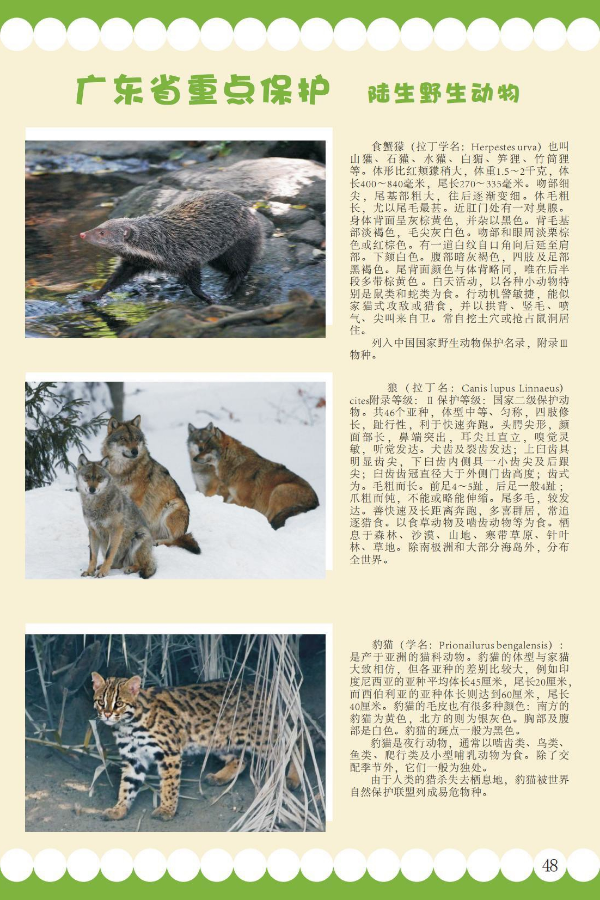 省重点19.jpeg