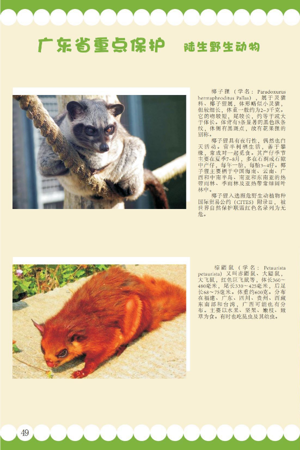 省重点20.jpeg
