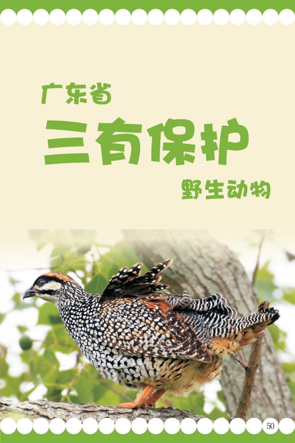 三有1.jpeg