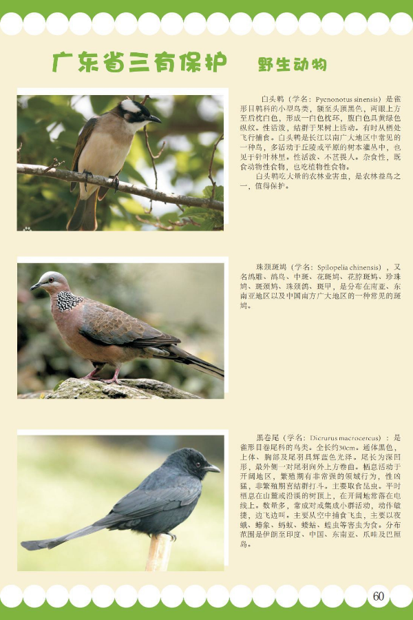 三有11_看图王.jpeg