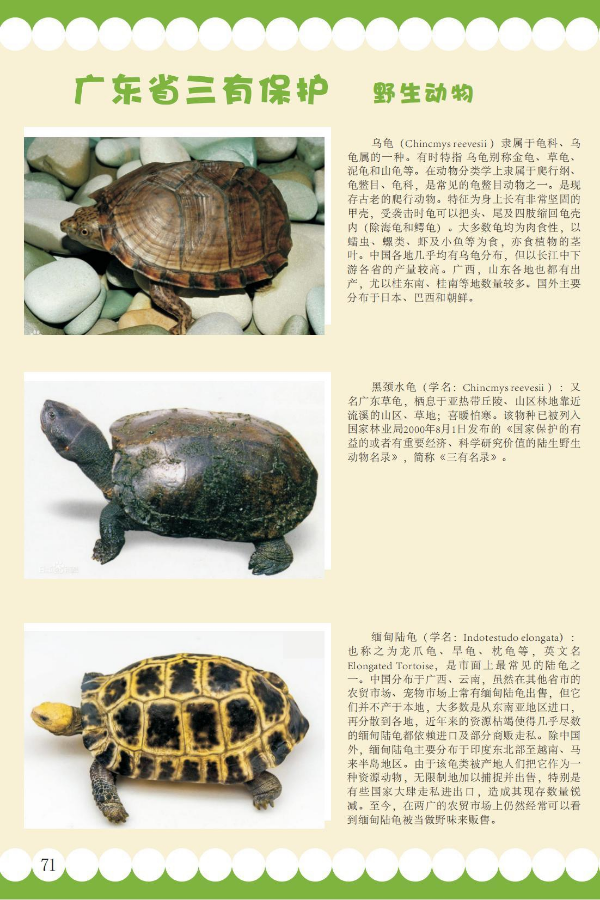 三有22.jpeg