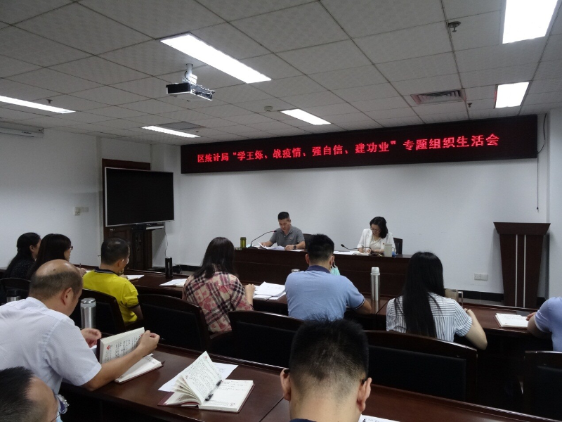 区统计局开展“学王烁、战疫情、强自信、建功业”专题组织生活会_1