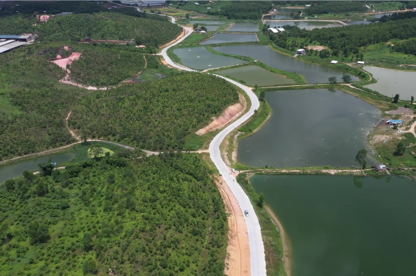 新会区罗坑镇天湖村亨头至石堂道路硬底化工程2.png