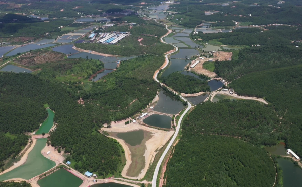 新会区罗坑镇天湖村亨头至石堂道路硬底化工程1.png