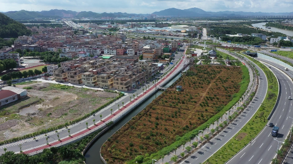 新会区会城茶坑村村道C308路面改造工程1.jpg