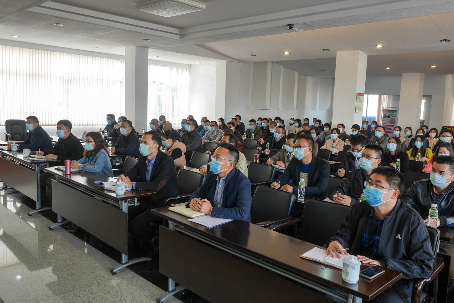P1310296.jpg