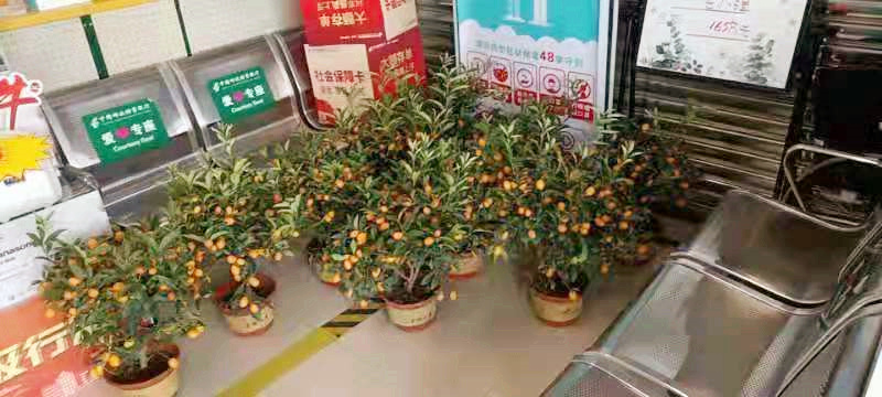 1_副本.jpg