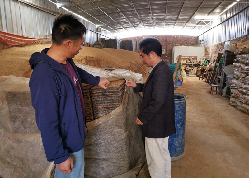 同成合作社播种_副本.jpg