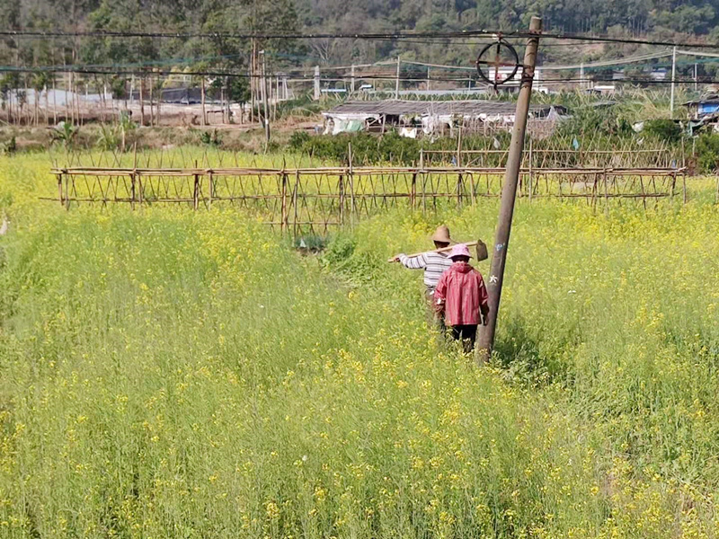 春耕情况_副本.jpg