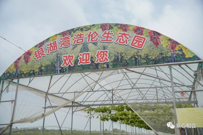 23_结果.jpg