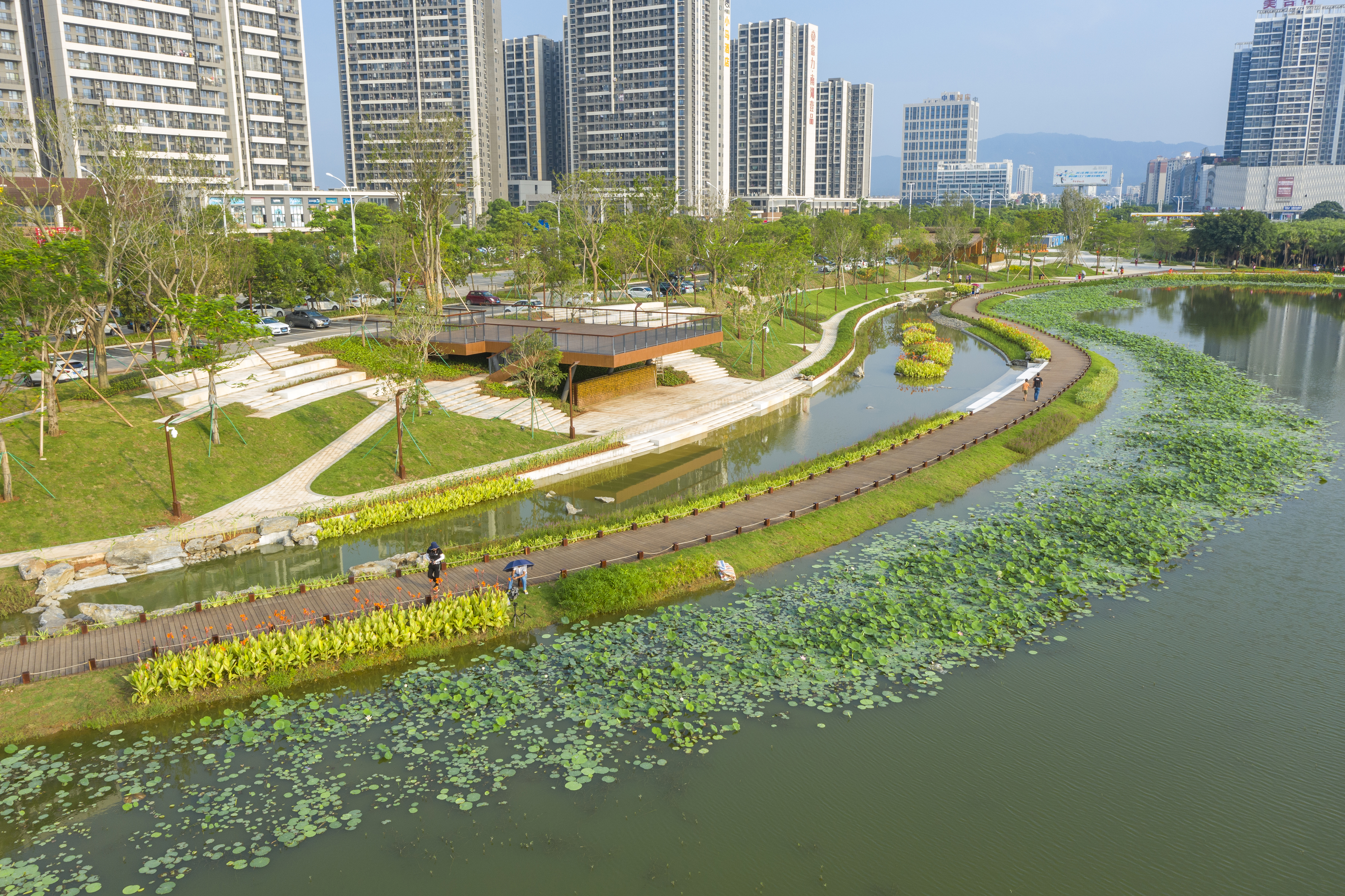 简报70图1.jpg