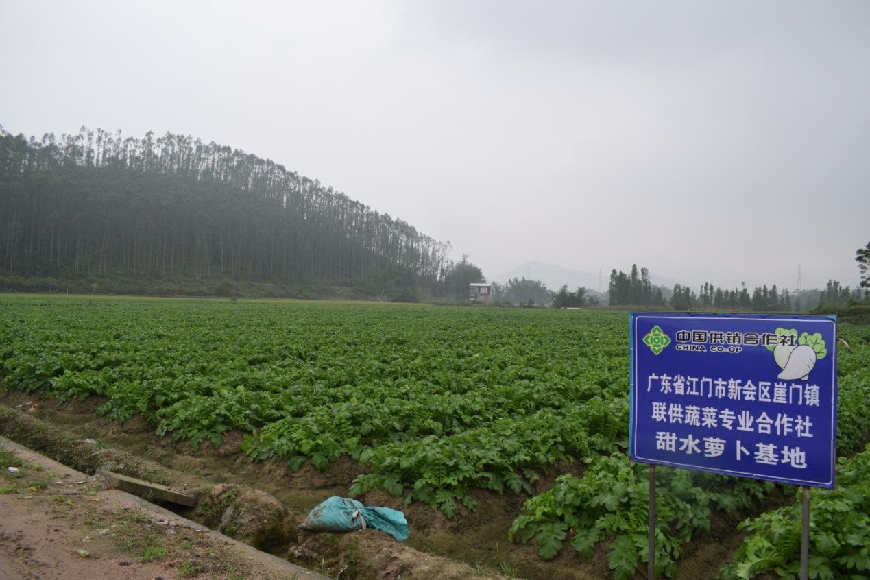 图片2.jpg